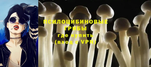 стаф Абинск