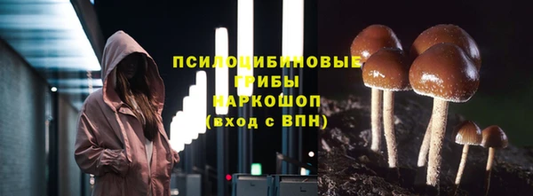 крисы Абаза