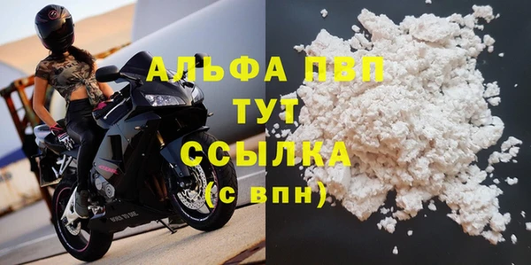 стаф Абинск