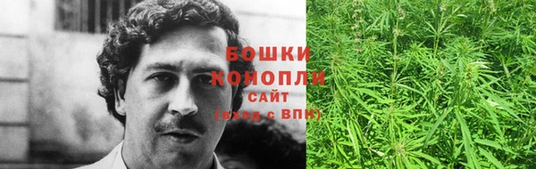 альфа пвп Медвежьегорск