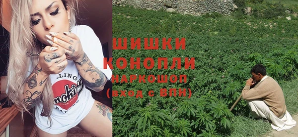 крисы Абаза