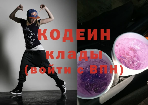 крисы Абаза