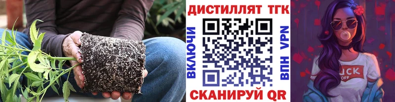 блэк спрут сайт  Иваново  Дистиллят ТГК THC oil  купить наркотики сайты 